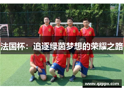 法国杯：追逐绿茵梦想的荣耀之路