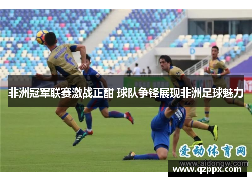 非洲冠军联赛激战正酣 球队争锋展现非洲足球魅力 非洲冠军联赛激战正酣 球队争锋展现非洲足球魅力